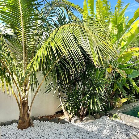 Willa Le Yucca 974 By J&V Saint Pierre Zewnętrze zdjęcie
