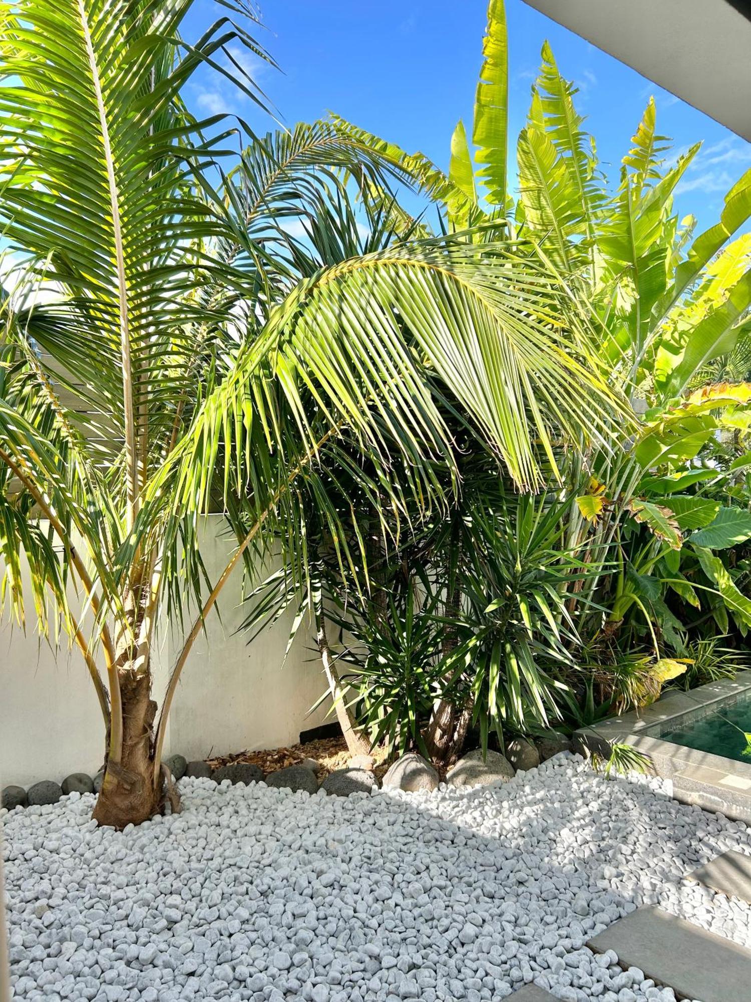 Willa Le Yucca 974 By J&V Saint Pierre Zewnętrze zdjęcie